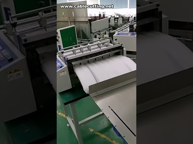 PVC zsugorfólia vágógép | Műanyag csomagolófólia vágógép | PP matt szalagvágó